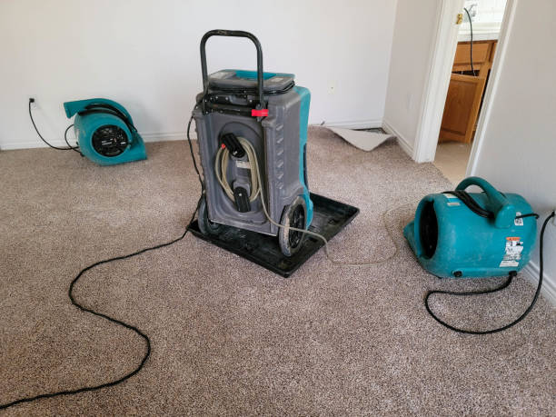 Best Commercial water damage restoration  in Chesaning, MI