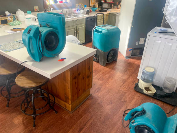 Reliable MI Water damage restoration Solutions