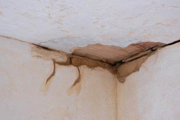 Best Water damage restoration services  in Chesaning, MI