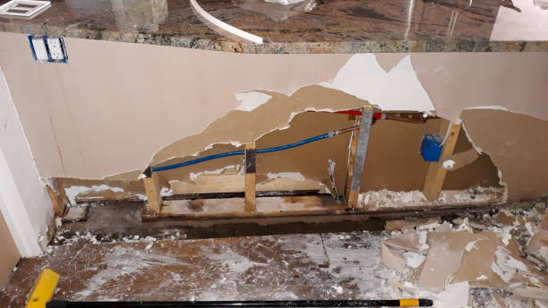 Best Mold removal after water damage  in Chesaning, MI