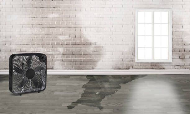 Best Emergency water damage restoration  in Chesaning, MI