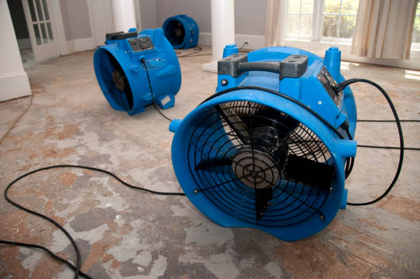 Best Emergency water damage restoration  in Chesaning, MI