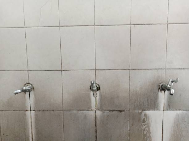 Best Fire Damage Restoration  in Chesaning, MI