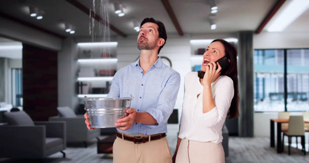 Best Carpet water damage restoration  in Chesaning, MI