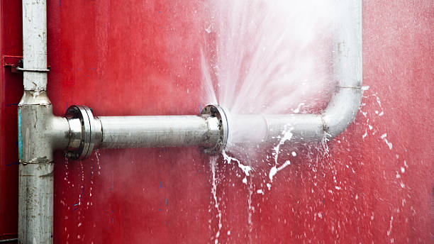 Best Water damage restoration near me  in Chesaning, MI